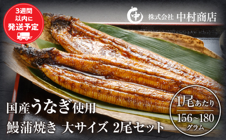 うなぎ 蒲焼 うなぎ[国産 2尾 肝焼き付]