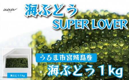 海ぶどうSuperLover　大容量1kgパック【2026年4月より順次発送】