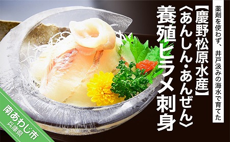 【慶野松原水産】 〈あんしん・あんぜん〉養殖ヒラメ刺身