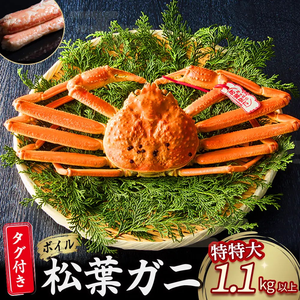【先行予約】【魚倉】タグ付きボイル松葉ガニ（特特大1.1kg以上）冷蔵 カニ ボイル 松葉ガニ タグ付き