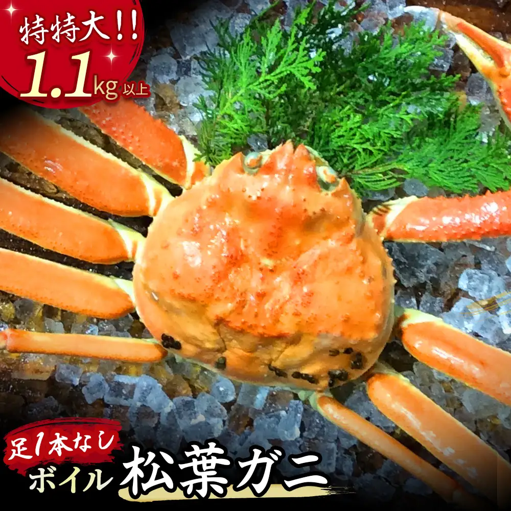 【先行予約】【魚倉】足１本なしボイル松葉ガニ（特特大1.1kg以上）訳あり 松葉ガニ カニ ズワイガニ