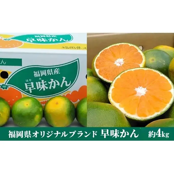 福岡限定 オリジナルブランド みかん「早味かん」約4kg【配送不可：離島】 果物類 柑橘類 フルーツ 
