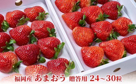 いちご あまおう 贈答用 24～30粒 福岡のいちご！苺 本来の酸味と甘み 配送不可 離島 果物類 イチゴ 