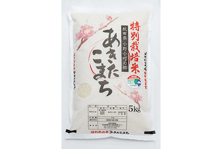 【令和7年産米】小野小町の郷 特別栽培米 あきたこまち 5kg×1袋 ふるさと納税 秋田 米 あきたこまち お米【遠田米穀店】[B7-2203]