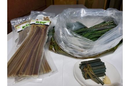 あくぬきわらび・水煮セット【(株)小町の国手づくり工房】[B5-3901]