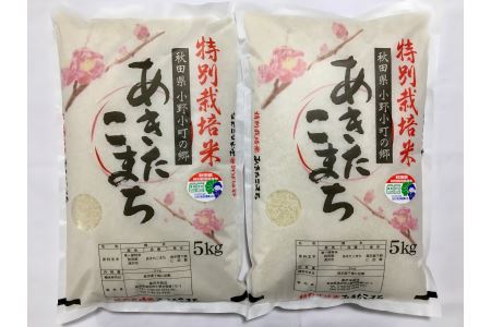 【令和7年産米】小野小町の郷 特別栽培米 あきたこまち 5kg×2袋 計10kg ふるさと納税 秋田 米 あきたこまち お米【遠田米穀店】[C3-2202]