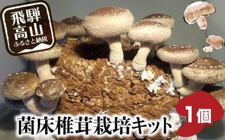 菌床椎茸栽培キット 1個 | しいたけ シイタケ 椎茸 栽培キット 栽培 菌床 しいたけ菌 椎茸菌 5000円 飛騨高山きのこの里 GK003