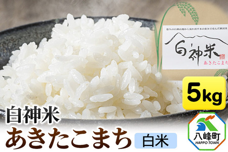 白神米 あきたこまち 秋田県産 5kg【白米】令和7年産