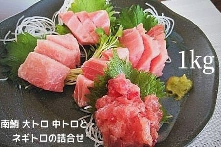 a25-026　天然 南鮪 大トロ 中トロ ネギトロ の 詰合せ約1kg