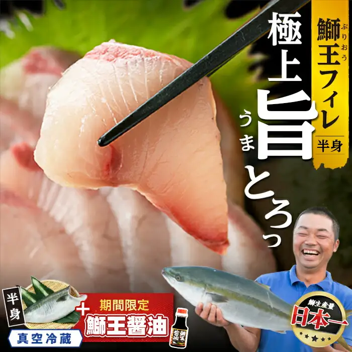 【大人気商品！やっと再入荷！】白に黒のプリプリ金魚　高級感溢れる半幅帯 KU281 高評価！活じめ！黒瀬ぶりの生鮮ブリロイン 400g 1kg | 刺身