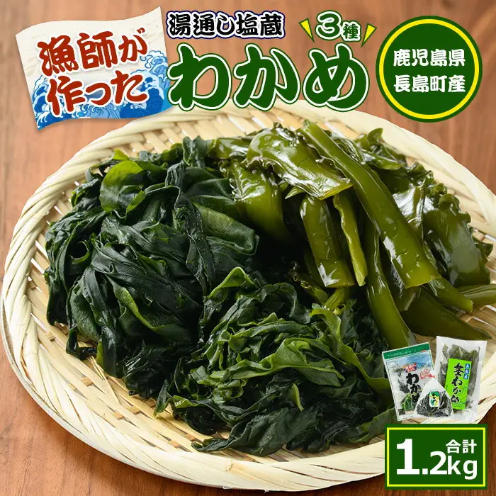 菊栄丸の手作り湯通し塩蔵わかめセット(計1.2kg)【菊栄丸水産】kiku-7163