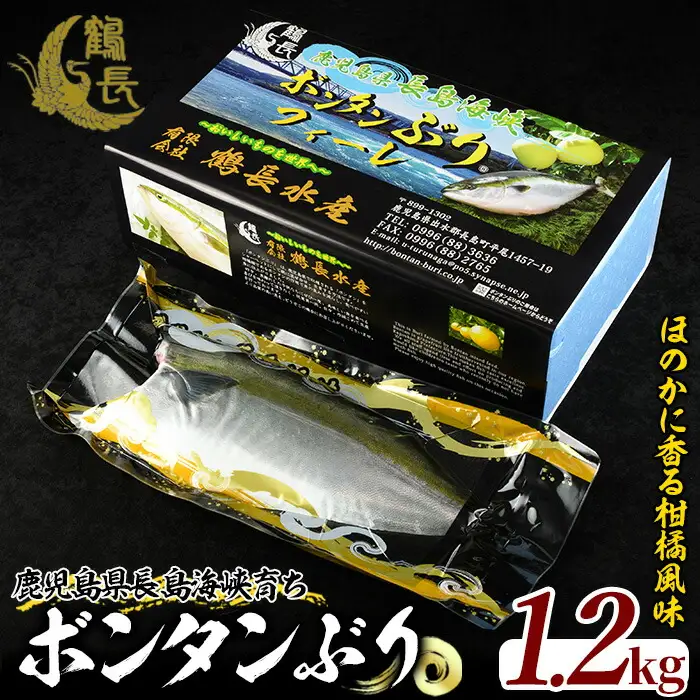 ＜期間限定＞長島海峡育ち！ボンタンぶりのフィレ【鶴長水産】turu-7311R8