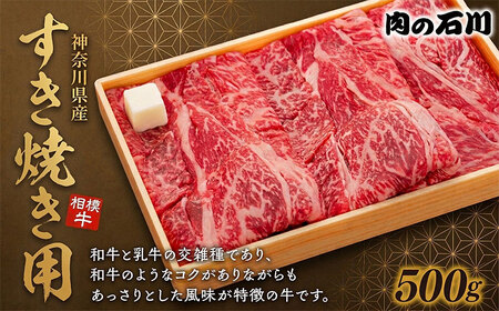 牛肉 すき焼き用 500g 相模牛 牛肉