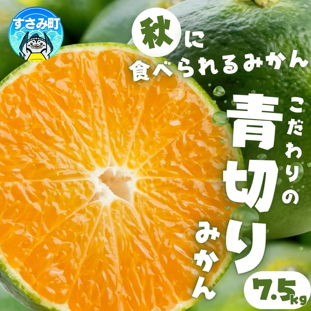 みかん 【2026年9月～発送】青切りみかん 約7.5kg(サイズ混合)【nuk107F】