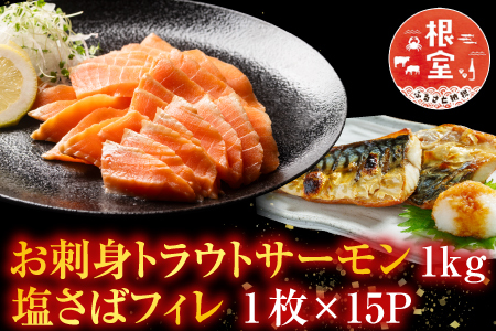 お刺身トラウトサーモン1kg、塩さばフィレ1枚×15P B-09054