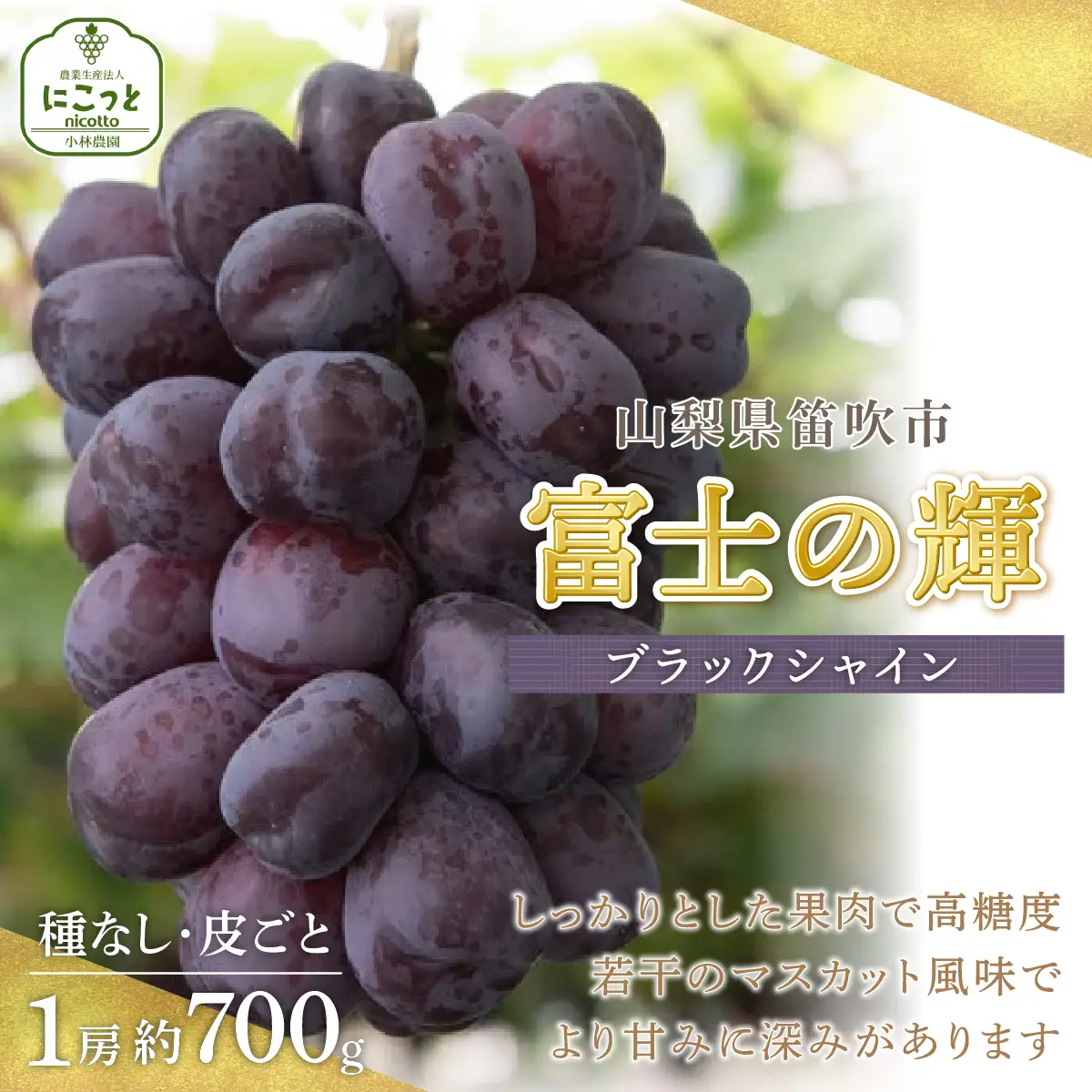 【ふるなび限定】【2026年発送★先行予約】 山梨県笛吹市産 富士の輝 ～ブラックシャインマスカット～1房 約 700g ★  FN-Limited-PR  097-009 097-009-26-navi  | ブラックシャインマスカット 希少 黒いシャインマスカット 高級品種 ギフトにおすすめ 大粒 |