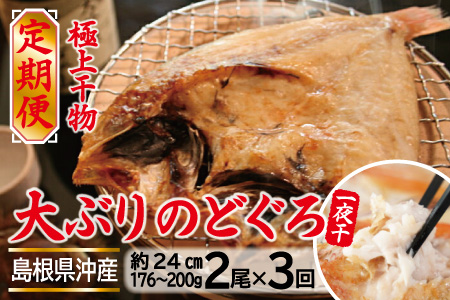 【定期便】島根県沖！大ぶり「のどぐろ一夜干」定期便（３回お届け）【大ぶり のどぐろ一夜干 2尾×3回 国産 島根県産 大田市 高級魚 ノドグロ アカムツ 白身魚 トロ 無添加 冷凍 真空 特産品 お取り寄せ】