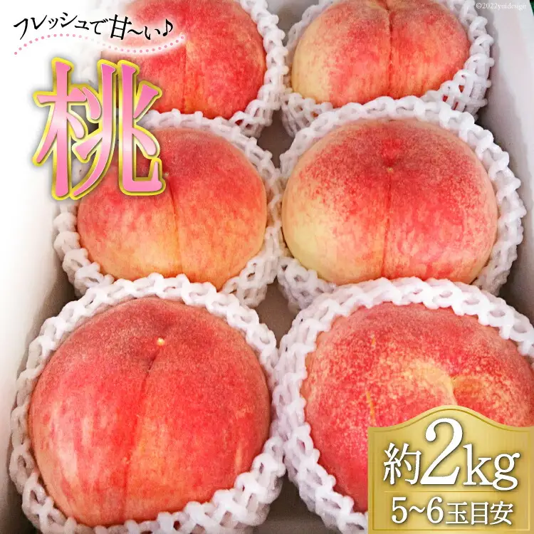 もも 山梨 5～6玉 約 2kg 【2026年発送】 《7月下旬～8月上旬出荷》 [フルーツランド平賀 山梨県 韮崎市 20742841]
