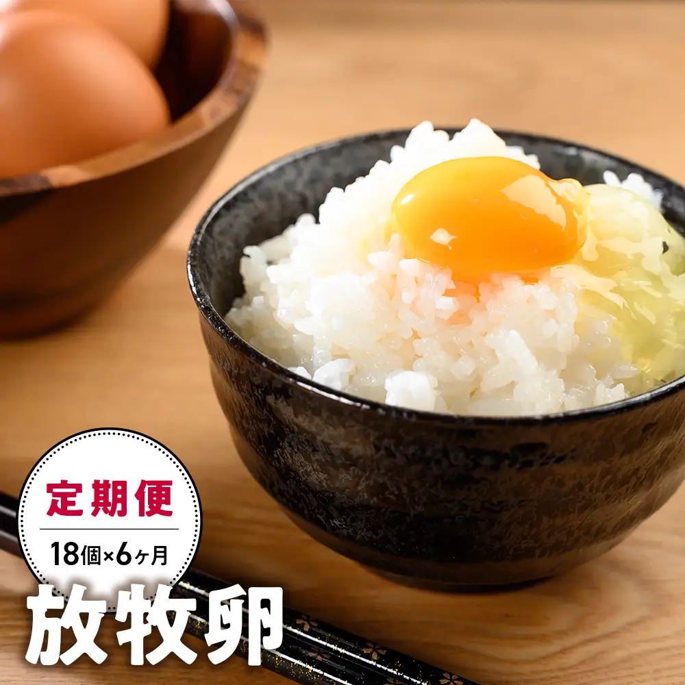 【6ヵ月定期便】放牧卵 18個×6ヶ月 卵定期便 山梨県 甲斐市 B-21