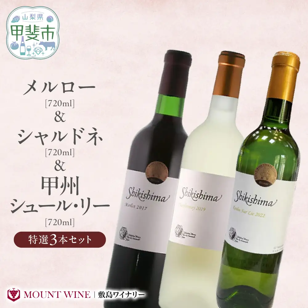 特選3本セット【メルロー & シャルドネ & 甲州シュール・リー】 720ml×3本 敷島醸造 ワイン 赤ワイン 白ワイン わいん シャルドネ ワインセット 辛口 日本ワイン 国産ワイン ギフト お祝い 飲み比べ 山梨 甲斐市 F-20