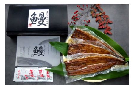 一色産うなぎ蒲焼3尾　無頭　国産・T053-24