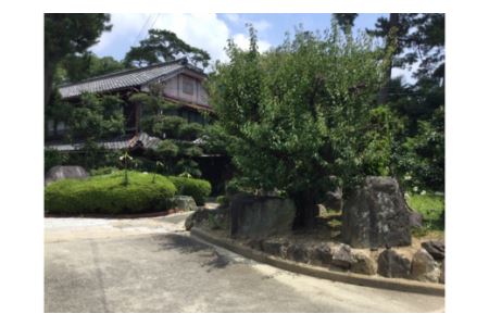 三河の民宿「鈴喜館」旬の魚介ランチ(2名分)・S026-23