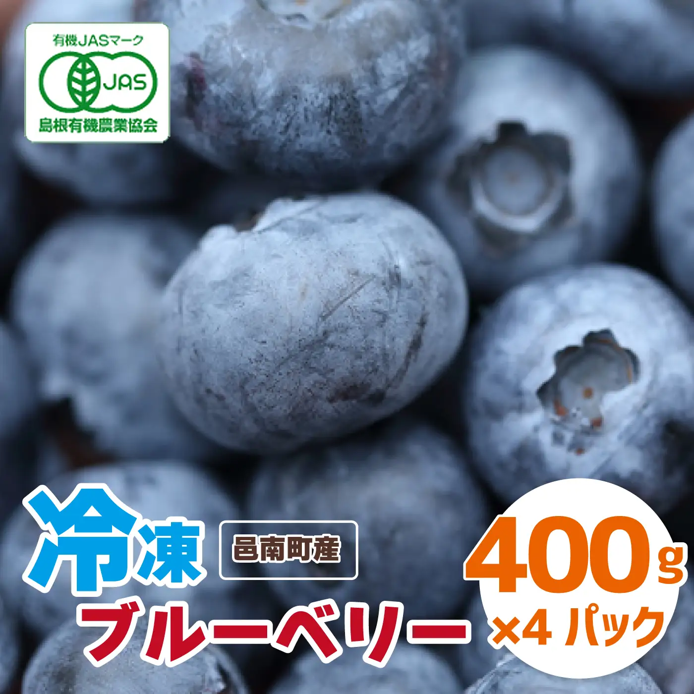 【先行予約】有機 冷凍ブルーベリー1.6kg（400g×4袋)