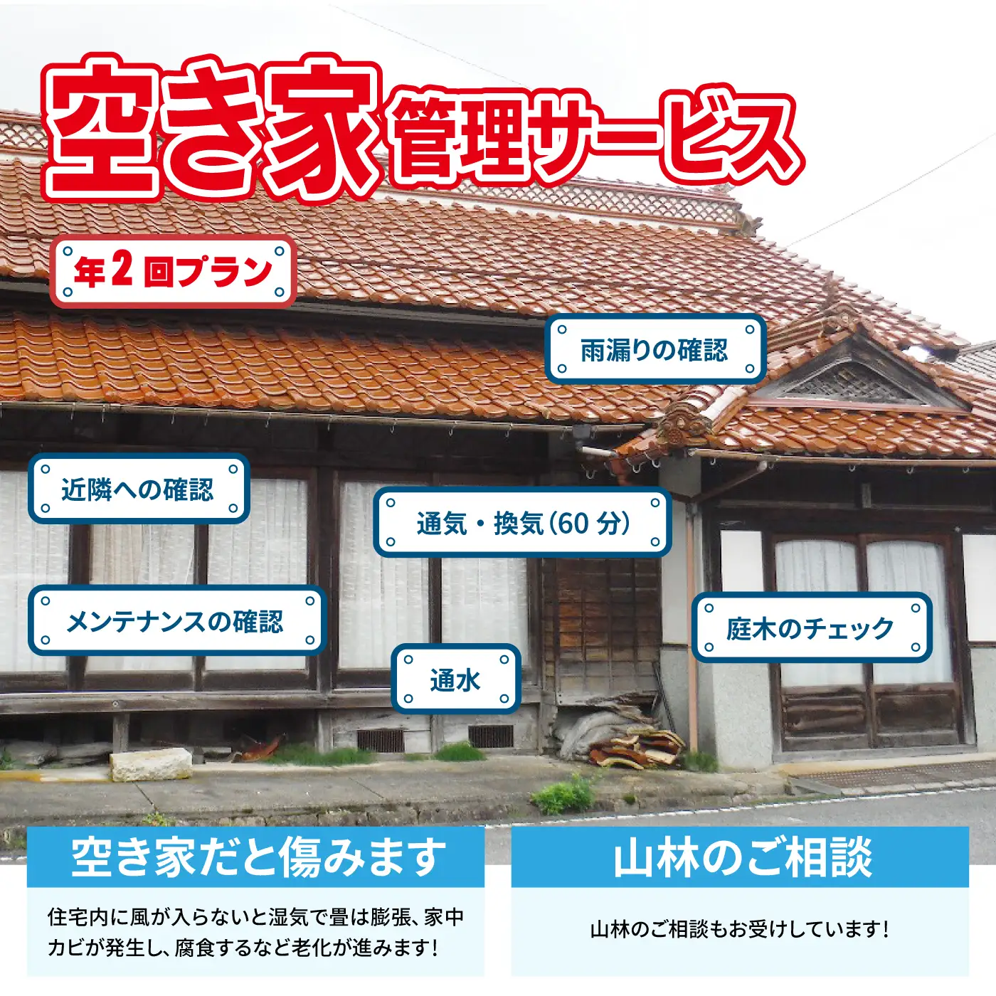 空き家管理サービスB（年2回プラン）
