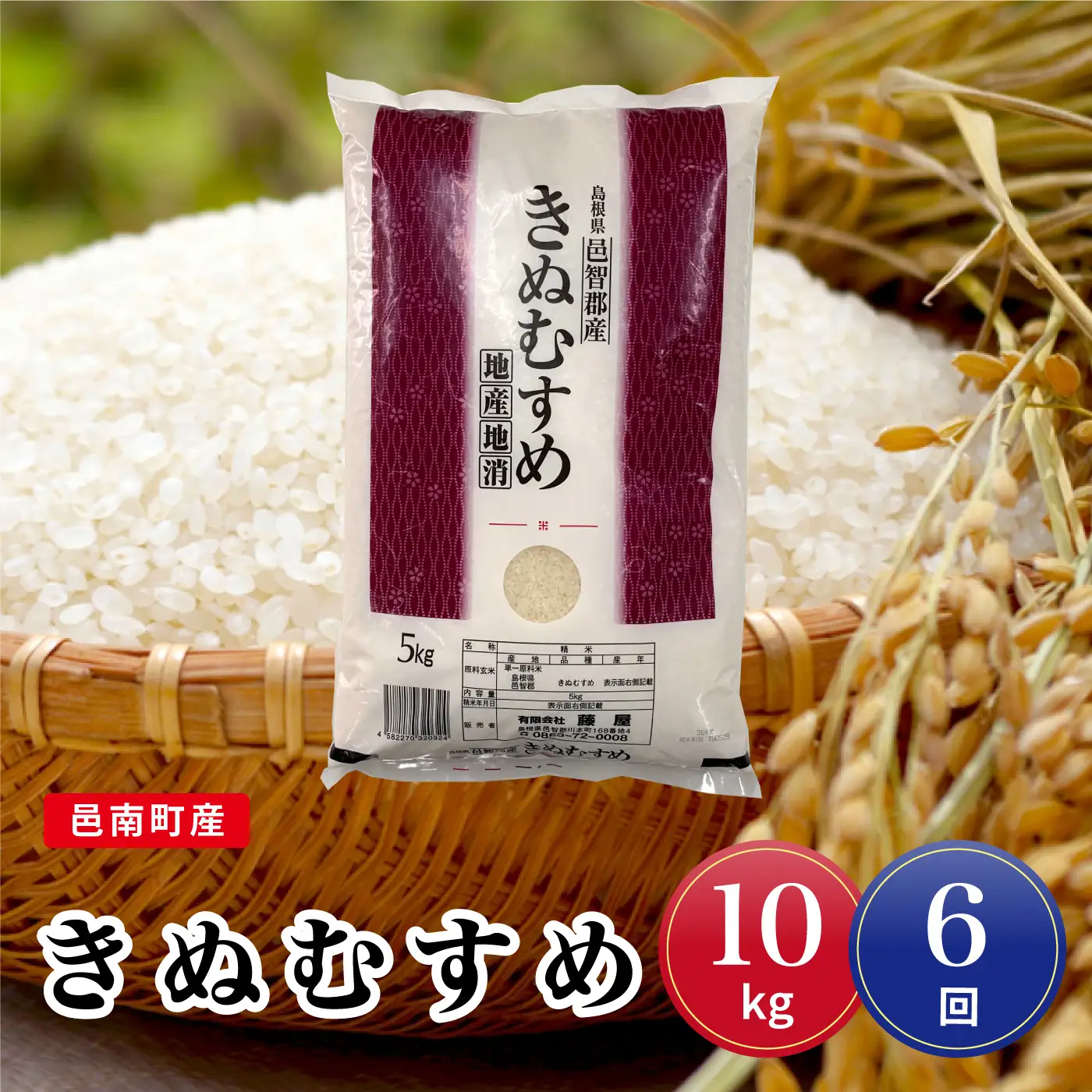 令和7年産【定期便6回】邑南町産きぬむすめ10kg