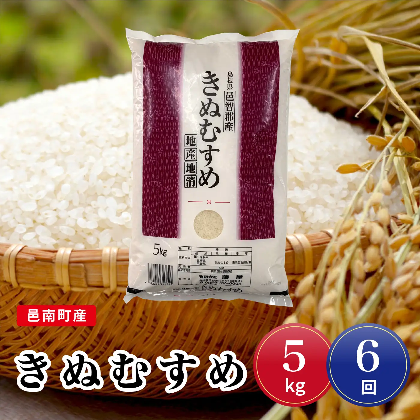 令和7年産【定期便6回】邑南町産きぬむすめ5kg 