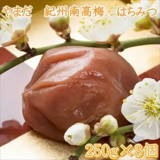 【0745-5】やまだ　南高梅はちみつ梅（250ｇ×3個）