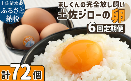 【ふるさと納税】土佐ジローの卵 定期便（12個入り×6回）もみ殻梱包 【J00024】