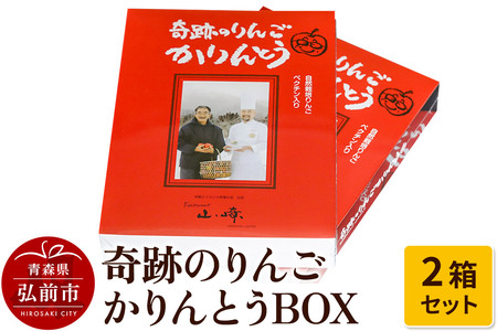 奇跡のりんごかりんとうBOX 2箱セット【 和菓子 スイーツ  】