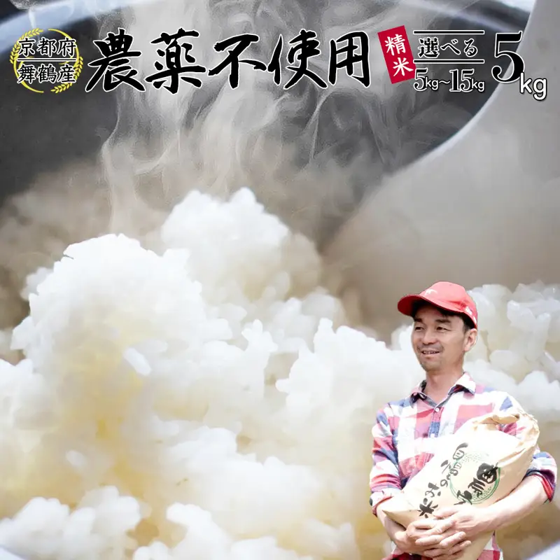 令和7年度産 棚田米 精米 5kg 白米 コシヒカリ 栽培期間中農薬不使用 精米 お米