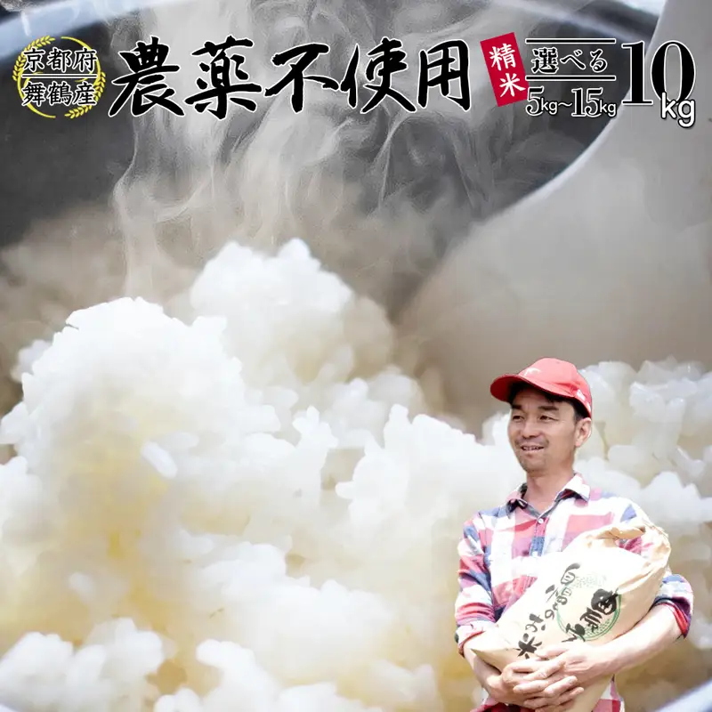 令和7年度産 棚田米 精米 10kg 白米 コシヒカリ 栽培期間中農薬不使用 精米 お米