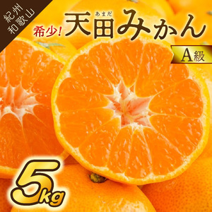 【0615-4】希少！天田みかん（紀州和歌山）A級5kg