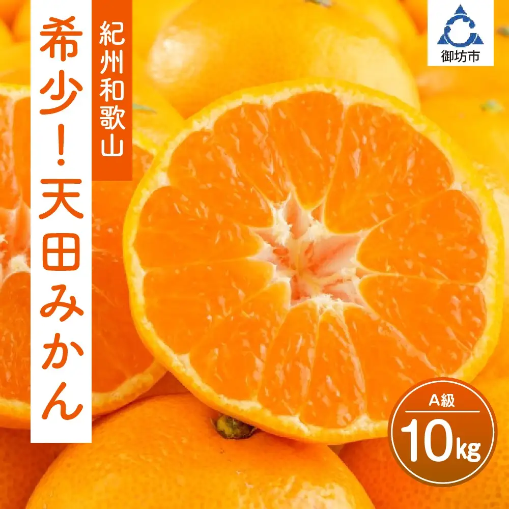 【0616-3】希少！天田みかん（紀州和歌山）A級10kg