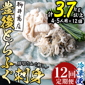 ＜定期便・全12回 (連続)＞ 豊後 とらふぐ 刺身 セット (総量約3.7kg：4-5人前×12回) とらふぐ ふぐ フグ ふぐ刺し フグ刺し ふぐ刺身 フグ刺身 刺身 鮮魚 冷凍 養殖 国産 大分県 佐伯市 【AB199】【柳井商店】