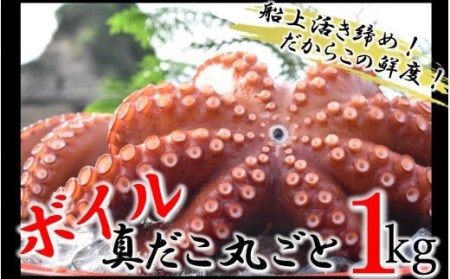 船上活き締め！ゆでたこ丸ごと約1kg（約1～4杯）_1812R