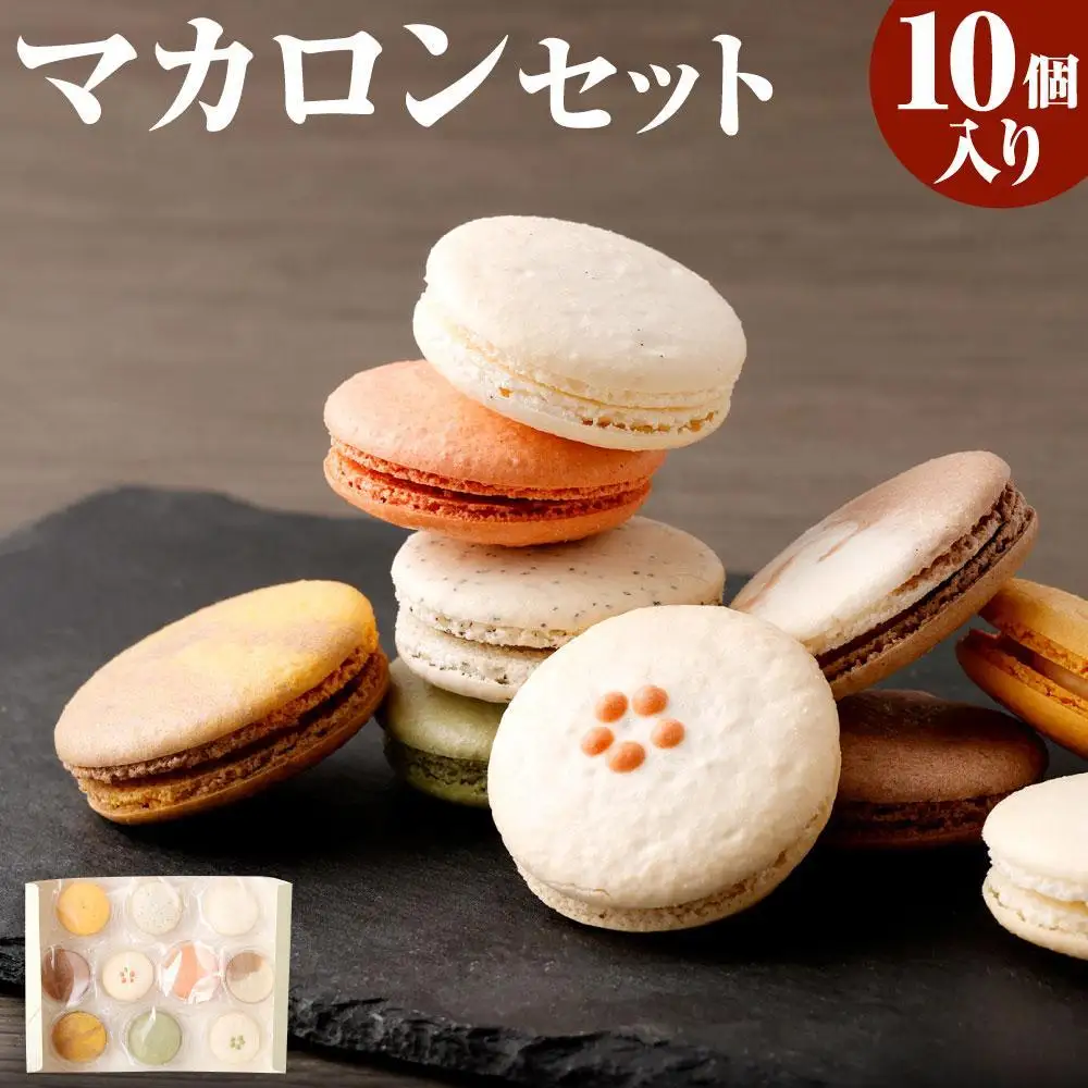 【レオニダス＆ガトーエモア】冷凍しない本場のレシピ　マカロンセット10個入り