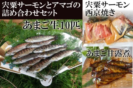 AU3　宍粟サーモンとあまごの詰め合わせセット 【 淡水 サーモン 鮭 アマゴ 魚 西京焼き 甘露煮 贈り物 プレゼント 】