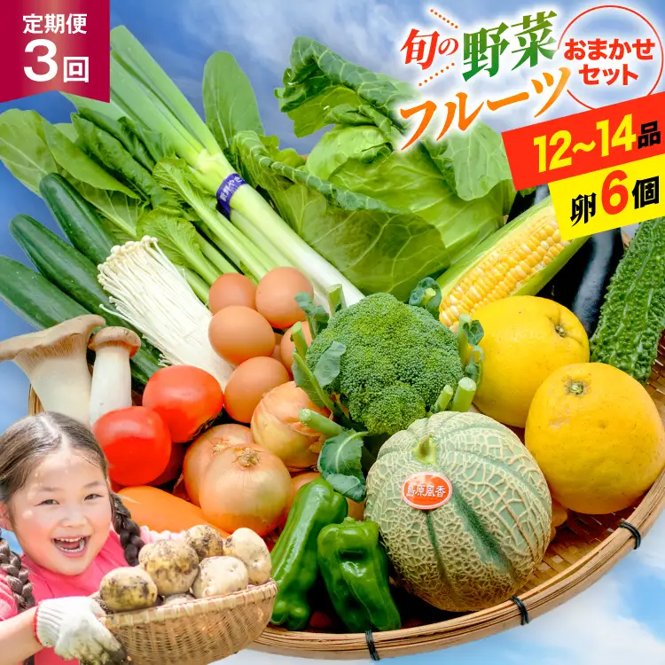 BF057 【3回定期便】旬の野菜 フルーツ 12～14品目 卵6個 セット [長崎県 島原市]