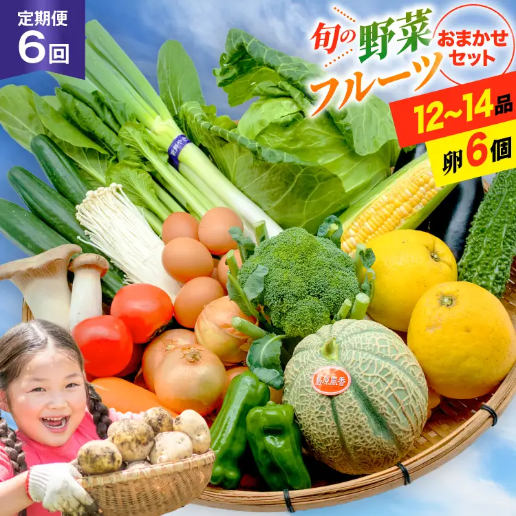 BF058 【6回定期便】旬の野菜・フルーツ (12～14品目)・卵 (6個) おまかせ セット[ 長崎県 島原市 ]