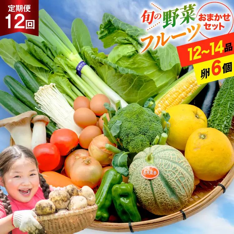 BF059 【12回定期便】旬の 野菜 フルーツ 12～14品目 卵 6個 おまかせ セット [ 長崎県 島原市 ]