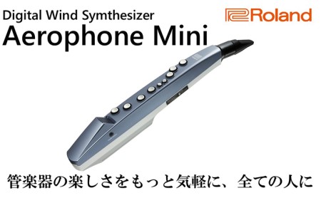 【Roland】ウインドシンセサイザー/エアロフォンミニ【配送不可：離島】 楽器 管楽器 