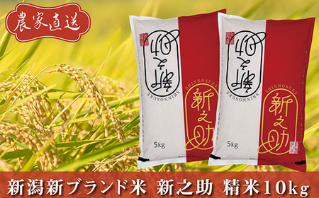 J8-7S101C新潟県長岡産　新之助　10kg（5kg×2袋）