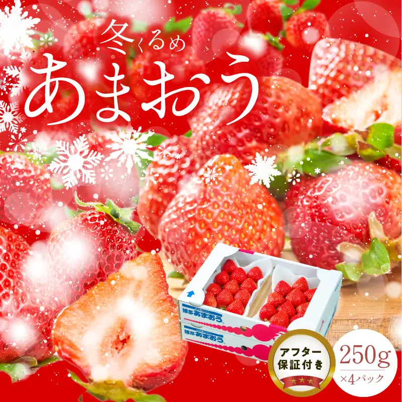 【2026年12月以降お届け】福岡産［冬］あまおう4パック_冬くるめ あまおう 250g × 4パック 合計 1kg 冷蔵 苺本来の味 濃厚 甘い 果汁 アフター保証 安心安全 国産 いちご 果物 アレンジ おやつ お菓子 タルト クッキー フルーツ スイーツ スムージー ジャム 南国フルーツ お取り寄せ 福岡県 久留米市 送料無料 〔Fi011〕