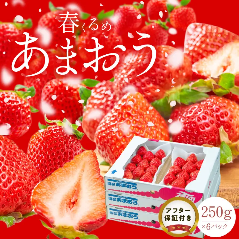 【2027年2月以降お届け】福岡産［春］あまおう6パック_春くるめ あまおう 250g × 6パック 合計 1.5kg 冷蔵 濃厚 甘い 果汁 アフター保証 安心安全 酸味 甘味 国産 いちご 果物 アレンジ おやつ フルーツ スイーツ スムージー ジャム 南国フルーツ お取り寄せ 福岡県 久留米市 送料無料 〔Fi013〕