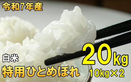 数量限定 令和7年産 一等米 100% 岩手県奥州市産 特用ひとめぼれ 白米 20kg 生活応援 緊急支援 [AC039]