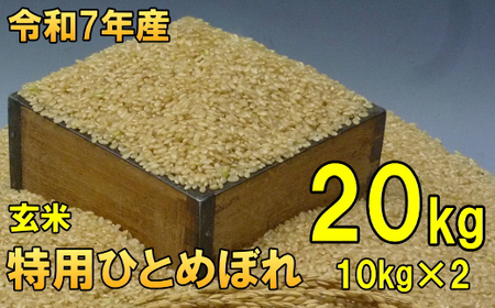数量限定 令和7年産 一等米 100% 岩手県奥州市産 特用ひとめぼれ 玄米 20kg 生活応援 緊急支援 [AC039]